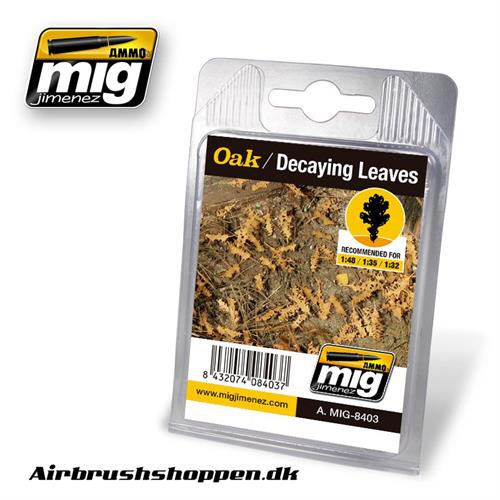 A.MIG-8403 OAK - DECAYING LEAVES